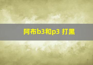 阿布b3和p3 打黑